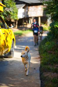 BIB: 
                            <button type="button" onclick="openModal(19338962)" class="btn btn-primary btn-sm float-right btn-popup" data-toggle="modal" data-target=".modal-high-quality">
                        <i class="fas fa-shopping-cart"></i> Add to Cart
                    </button>
                                            <button type="button" onclick="isThisMe(19338962, true)" class="btn btn-success btn-sm float-right btn-popup btn-isme hidden" data-toggle="tooltip" data-placement="bottom" title="นี่คือรูปของคุณใช่ไหม คลิกที่นี่เพื่อเอาเข้าอัลบั้ม">
                        <i class="fas fa-plus"></i> Add to album
                    </button>
                    <button type="button" onclick="isThisMe(19338962, false)" class="btn btn-warning btn-sm float-right btn-popup btn-isnotme hidden">
                        <i class="fas fa-ban"></i> Remove from album
                    </button>